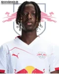 Amadou Haidara