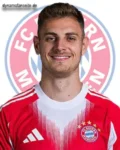 Josip Stanisic