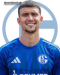 Dejan Ljubicic