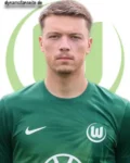 Dzenan Pejcinovic
