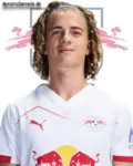 Viggo Gebel