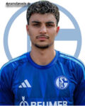 Mertcan Ayhan